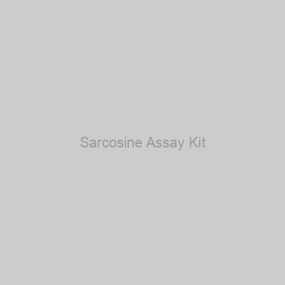 Sarcosine Assay Kit
